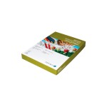 Scaldia Bristolkarton, 250 Stk, A4, 160 gm²