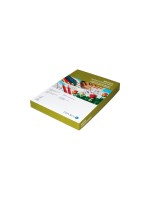 Papyrus Carton de bricolage Bristol A4, 160 g/m², 250 pièces