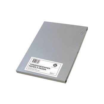 Scaldia Papier coloré A4, 130 g/m², 100 Pièce/s, argent Scaldia Papier coloré A4, 130 g/m², 100 Pièce/s, argent