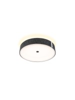Paulmann Plafonnier LED Malika 2700K 29W Anthracite