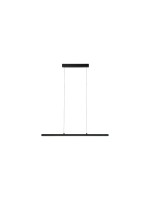 Paulmann Lampe suspendue Lento Zigbee 3.0, Tunable Blanc