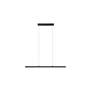 Paulmann Lampe suspendue Lento Zigbee 3.0, Tunable Blanc