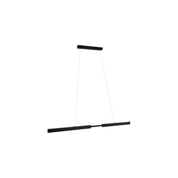 Paulmann Lampe suspendue Aptare 2700 K