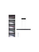 LED Pendelleuchte Raiko RGBW+ dimmbar 2300, dimmbar 2300lm / 370lm 19W / 6W Schwarz