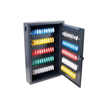 Pavo Armoire à clés Deluxe 100 crochets, gris