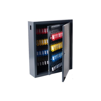 Pavo Armoire à clés Deluxe 150 crochets, gris