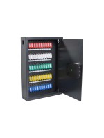 Pavo Coffre-fort à clé Advanced 50 crochets, gris