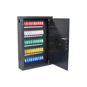 Pavo Coffre-fort à clé Advanced 50 crochets, gris