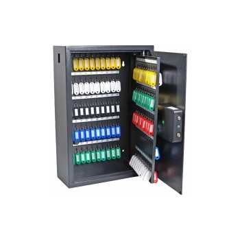 Pavo Coffre-fort à clé Advanced 150 crochets, gris