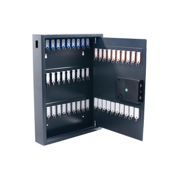 Pavo Coffre-fort à clé Magnettag 50 crochets, gris