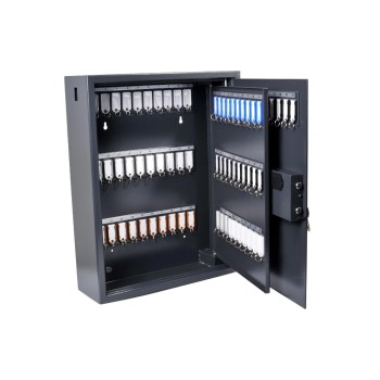 Pavo Coffre-fort à clé Magnettag 100 crochets, gris