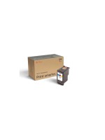 Peach 319022 Couleur 10 ml 295 pages