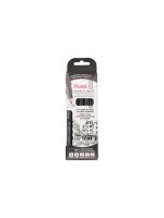 Pentel Fineliner Pigment fine 5er Set, black 