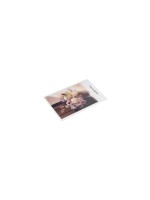 PGYTECH FunCam Papier photo pour imprimante photo FunCam