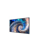 Philips Ecran Public 43BDL2050A/00 42.5