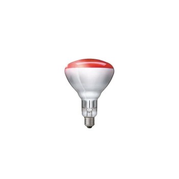 Philips lampe infrarouge BR125 250W, E27, 5000h, rouge , verre dur