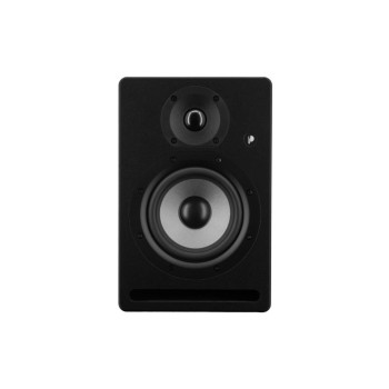 Prodipe Moniteur de studio Pro5 V4 BW