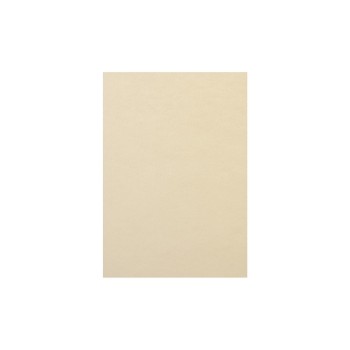 Rainbow Papier pour photocopie Arc-en-ciel 120 g/m² A4, Hellchamois Rainbow Papier pour photocopie Arc-en-ciel 120 g/m² A4, Hellchamois