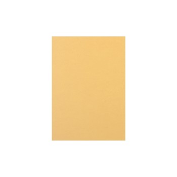 Rainbow Papier pour photocopie Arc-en-ciel 120 g/m² A4, Chamois Rainbow Papier pour photocopie Arc-en-ciel 120 g/m² A4, Chamois