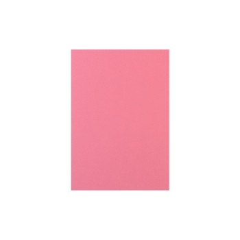 Rainbow Papier pour photocopie Arc-en-ciel 120 g/m² A4, Rose Rainbow Papier pour photocopie Arc-en-ciel 120 g/m² A4, Rose