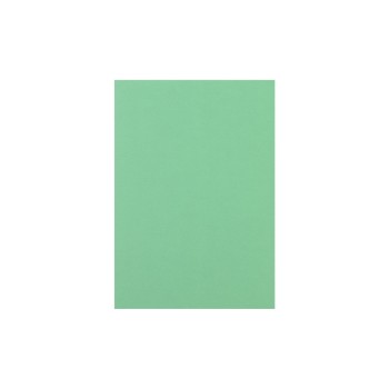 Rainbow Papier pour photocopie Arc-en-ciel 120 g/m² A4, Vert moyen Rainbow Papier pour photocopie Arc-en-ciel 120 g/m² A4, Vert moyen