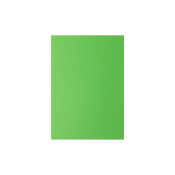 Rainbow Papier pour photocopie Arc-en-ciel 120 g/m² A4, vert Rainbow Papier pour photocopie Arc-en-ciel 120 g/m² A4, vert