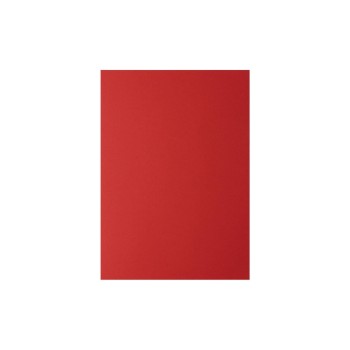 Rainbow Papier pour photocopie Arc-en-ciel 160 g/m² A4, Rouge intense Rainbow Papier pour photocopie Arc-en-ciel 160 g/m² A4, Rouge intense