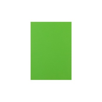 Rainbow Papier pour photocopie Arc-en-ciel 160 g/m² A4, vert Rainbow Papier pour photocopie Arc-en-ciel 160 g/m² A4, vert