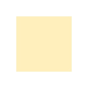 Rainbow Papier pour photocopie A4, Chamois, 80 g/m², 500 feuilles, 2 perforations Rainbow Papier pour photocopie A4, Chamois, 80 g/m², 500 feuilles, 2 perforations
