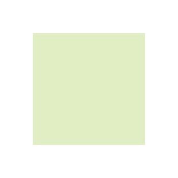 Rainbow Papier pour photocopie A3, vert clair, 80 g/m²,500 Blatt Rainbow Papier pour photocopie A3, vert clair, 80 g/m²,500 Blatt