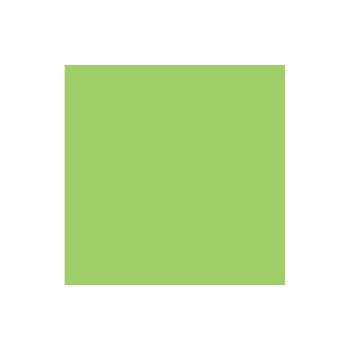 Rainbow Papier pour photocopie A3, vert, 80 g/m²,500 Blatt Rainbow Papier pour photocopie A3, vert, 80 g/m²,500 Blatt