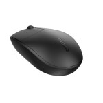 Rapoo Mouse N100 black , USB