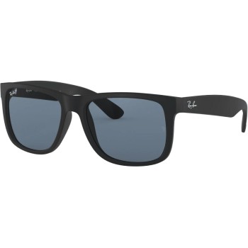 Ray-Ban Lunettes de soleil Erika Rubber Black