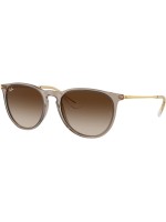 Ray-Ban Lunettes de soleil Erika Classic Transparent/brun clair