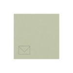 Rico Design Paper Poetry Essentials Enveloppe B6 Vert tilleul