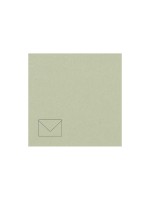 Rico Design Paper Poetry Essentials Enveloppe B6 Vert tilleul