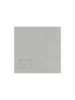 Rico Design Paper Poetry Essentials Enveloppe B6 Argent, 50 pièces