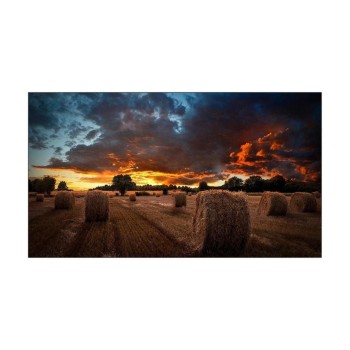 Samsung Affichage du mur vidéo VM55B-U 55 Samsung Affichage du mur vidéo VM55B-U 55