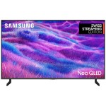 Samsung TV QE50QN80F AUXXN, 50 NEO-QLED-TV, NQ4 AI Gen2 Processor