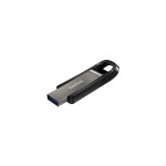SanDisk Clé USB Extreme Go USB 3.2 256 GB