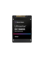 SanDisk SSD DC SN655 2.5 NVMe 30720 GB
