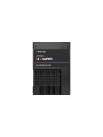 SanDisk SSD DC SN861 2.5 NVMe 3840 GB