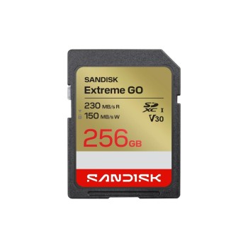 SanDisk Carte SDHC Extreme GO 256 GB SanDisk Carte SDHC Extreme GO 256 GB