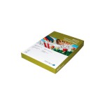 Scaldia Papier coloré A2, 130 g/m², 100 Pièce/s, Herbe verte