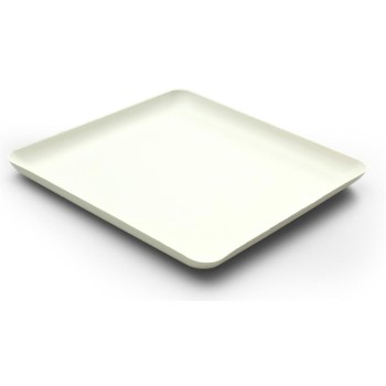 Sier Bagastro Teller viereck, 40 Stück, 200 x 200 x h15,70%Zuckerrohrmark
