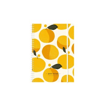 Simplex Wochenagenda Harmony 2027, 1 Woche/2 Seiten, 148x210mm, Birds