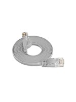 Wirewin Slim Câble patch: UTP, 0.25m, gris, Cat.6, AWG36, Klinkenschutz, Längenaufdruck