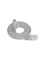 Wirewin Slim Câble patch: UTP, 1m, gris, Cat.6, AWG36, Klinkenschutz, Längenaufdruck