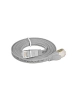 Wirewin Slim Câble patch: STP, 0.10m, gris, Cat.6, AWG36, Klinkenschutz, Längenaufdruck
