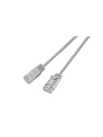 Slim Wirewin Câble patch:UTP, 15cm,gris, Cat.6, AWG36, Klinkenschutz, rund, 2.8mm